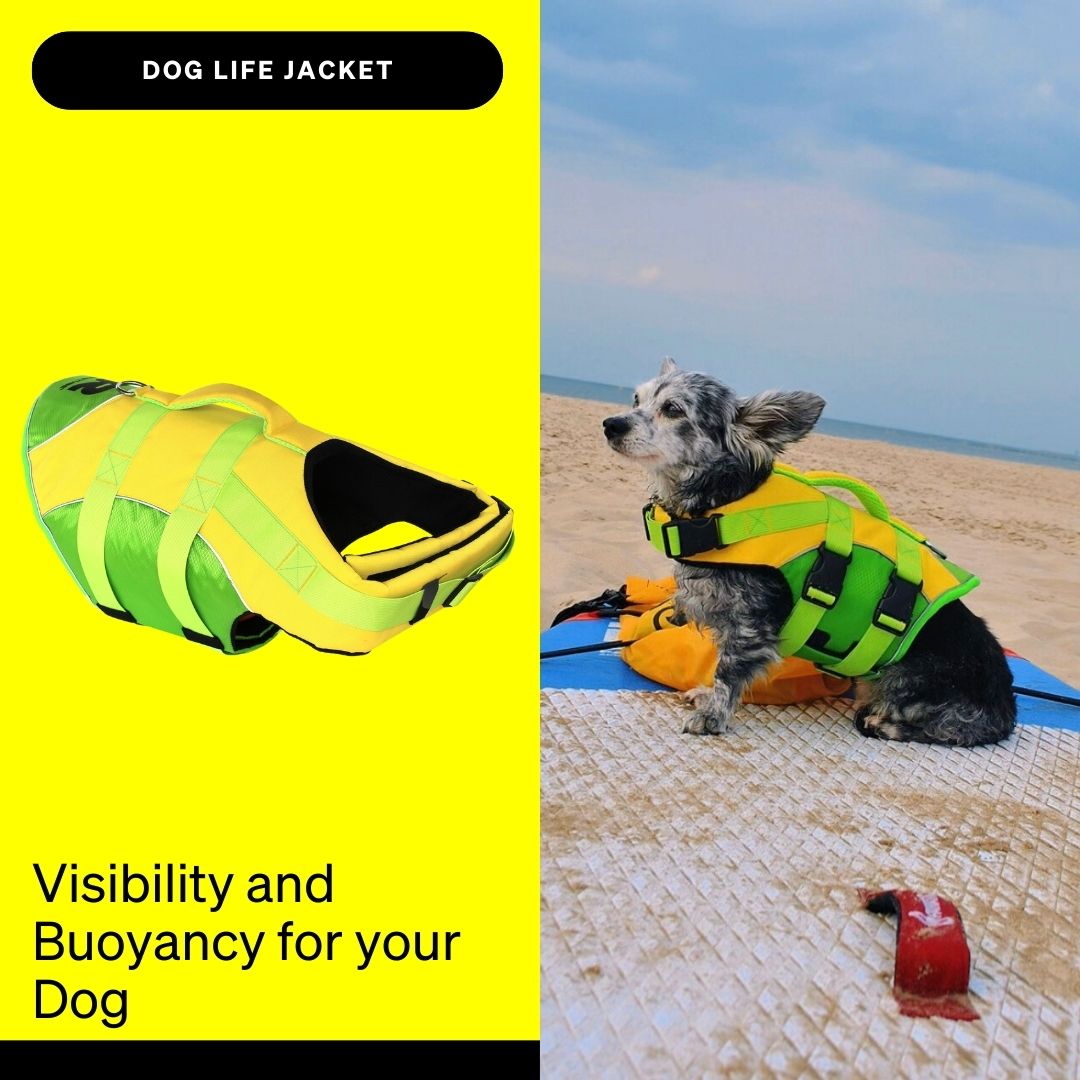 Restube Active + gilet chien pack sécurité Icemint