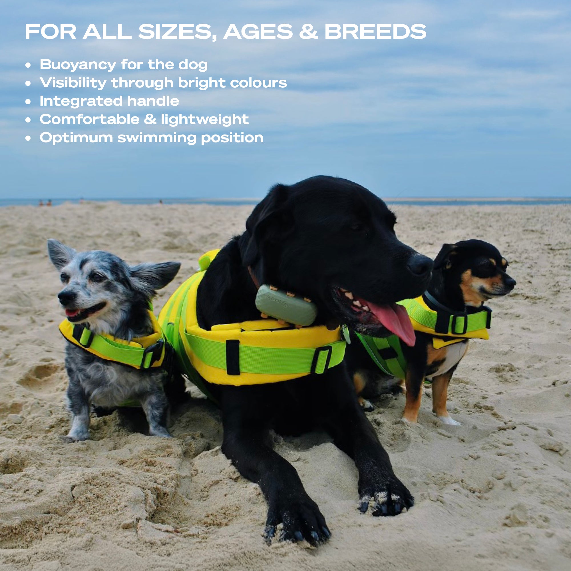 Restube gilet de sauvetage chien taille M