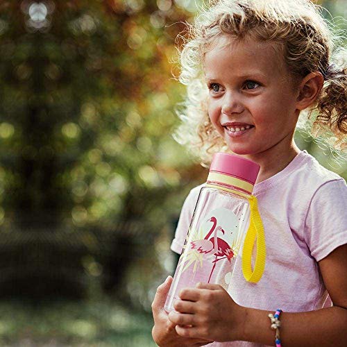 Equa PV 33 gourde Tritan 600 ml sans BPA